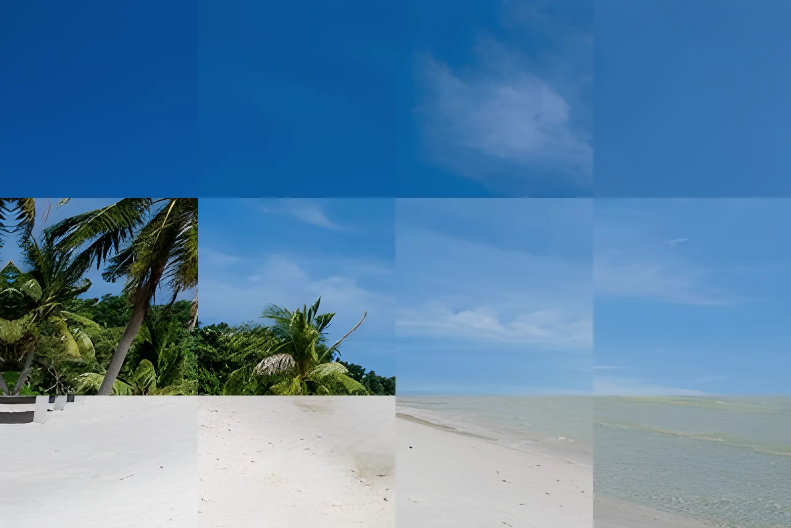 White sand and shoreline trees