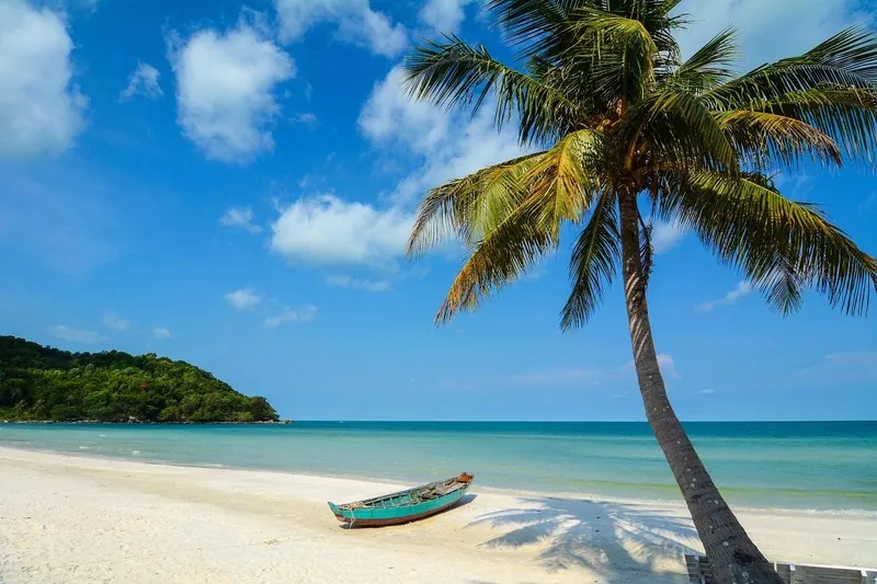 Thuyền nhỏ trên cát dưới tán dừa