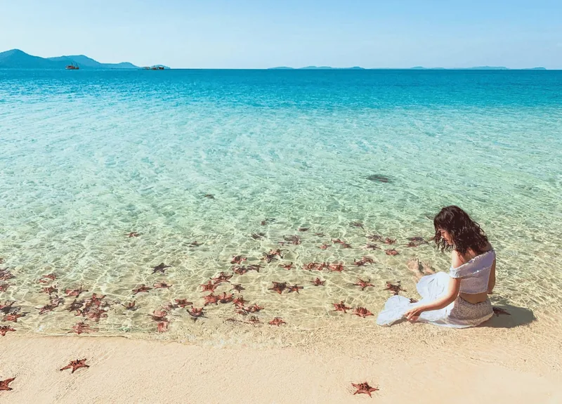 Starfish in the clear shallow water at Sao Beach