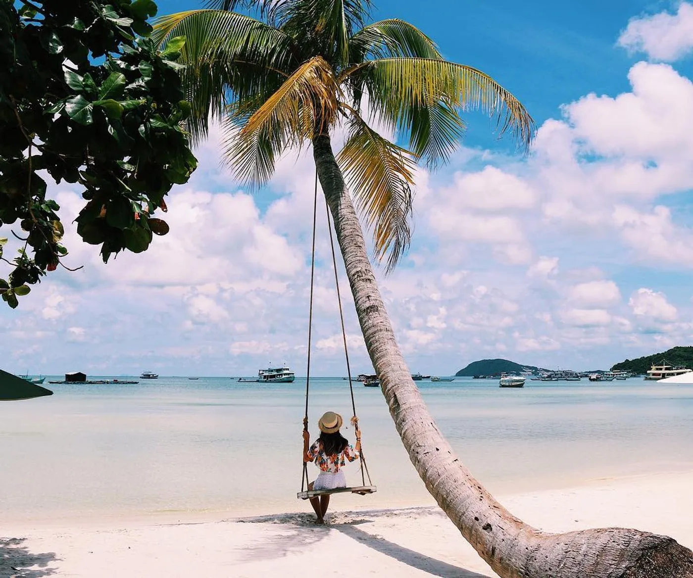 Xích đu dưới cây dừa nghiêng