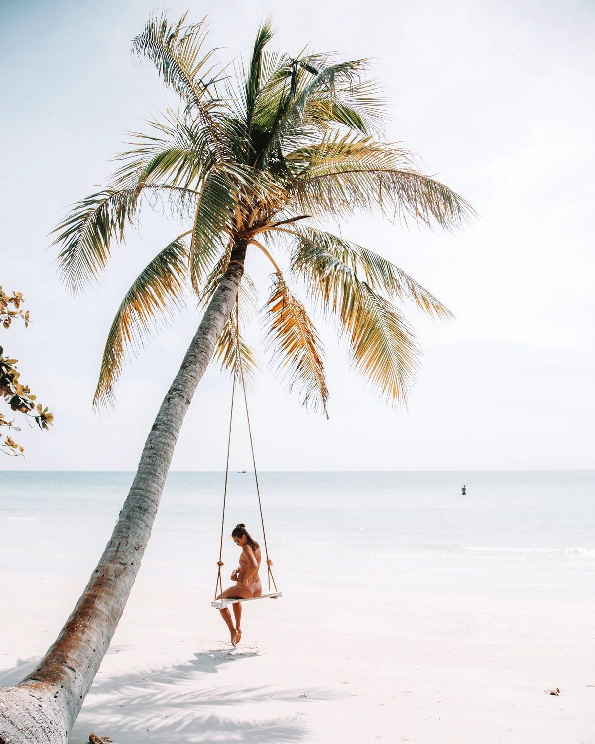 A swing among the palms